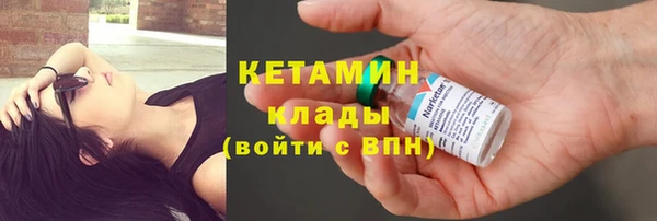 сатива Новокубанск