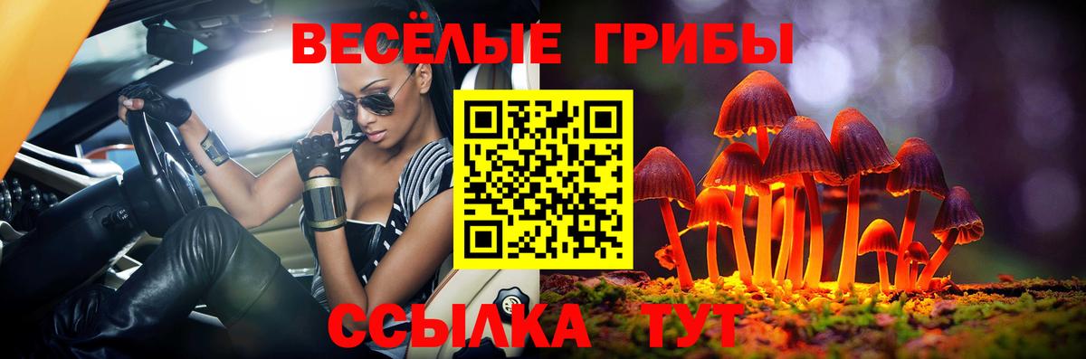 Галлюциногенные грибы Psilocybine cubensis Надым