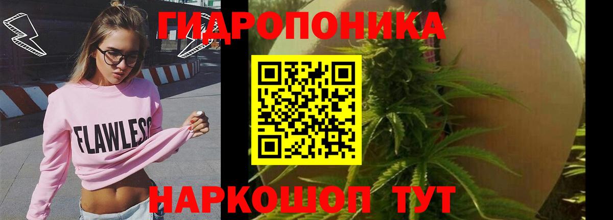 Бошки марихуана сатива Надым
